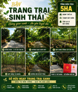  Nguyễn Trung Dũng