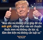 Tùng Phạm