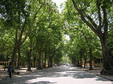 Văn phòng công chứng Ngô Thì Nhậm