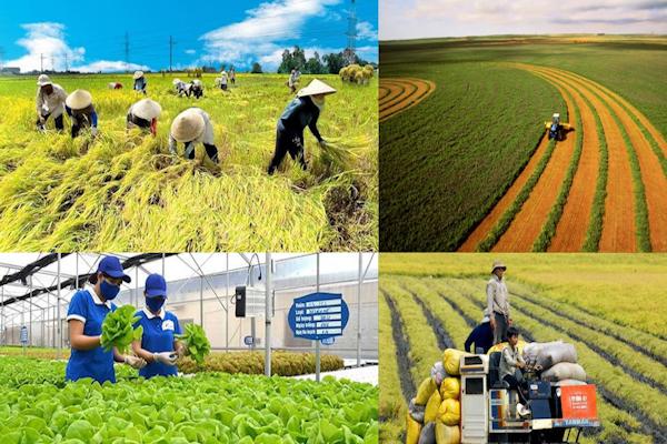 Đề xuất kéo dài miễn thuế sử dụng đất nông nghiệp đến hết năm 2030