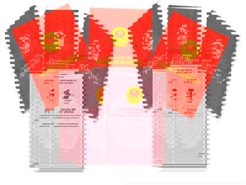 pháp lý sổ đỏ