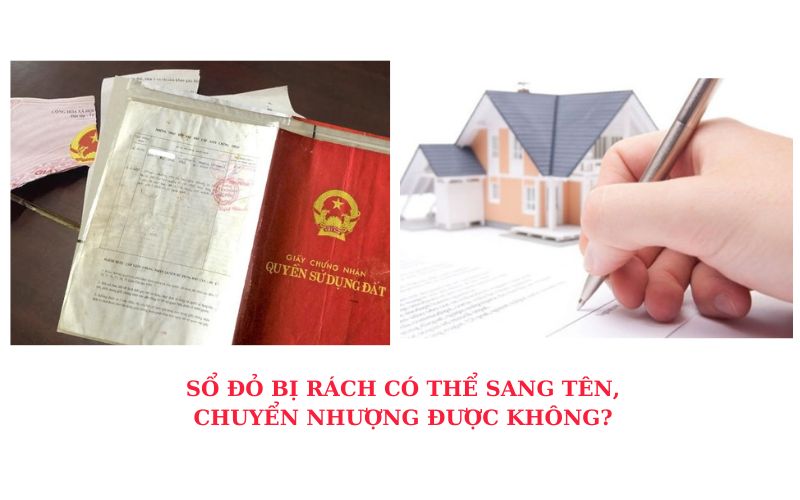 Sổ đỏ bị rách