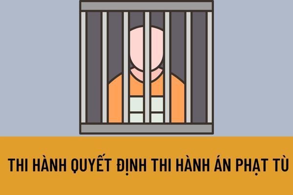 Chủ nhà thi hành án tù