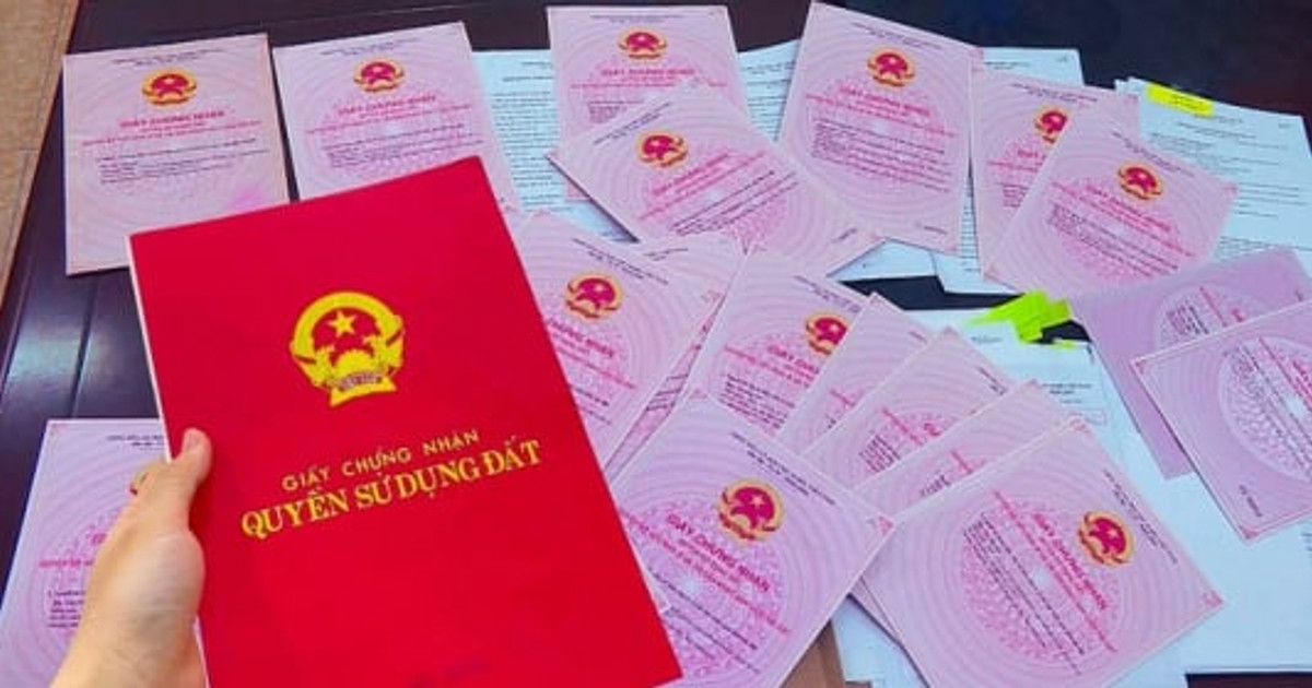Mẫu đơn xác nhận giáp ranh đất