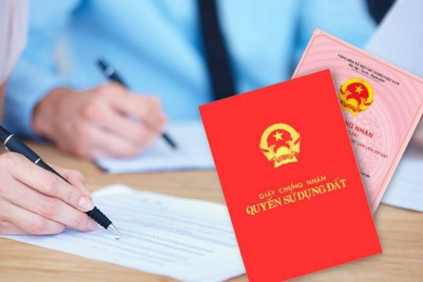 Mẫu đơn cấp lại sổ đỏ