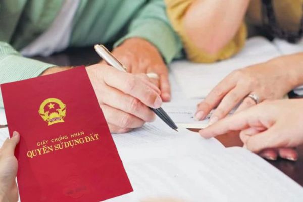 Mẫu đơn cấp lại sổ đỏ