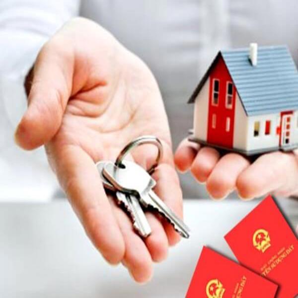 Ký hợp đồng tặng cho, mua bán nhà đất do bị lừa dối