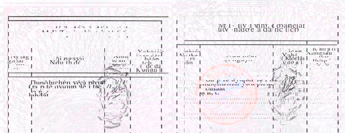 xóa nợ tiền sử dụng đất xóa nợ tiền sử dụng đất