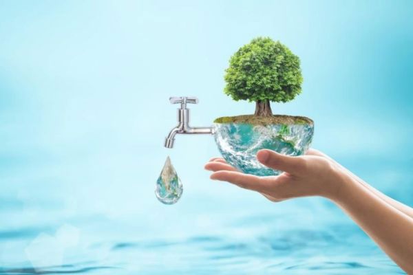 Trường hợp được miễn nộp phí bảo vệ môi trường đối với nước thải