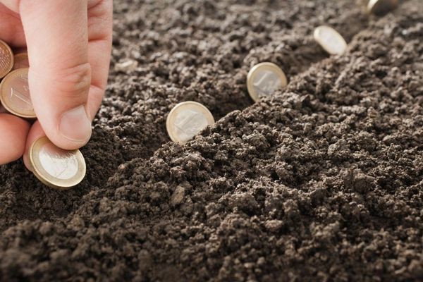 Xử phạt khi không đưa đất vào sử dụng