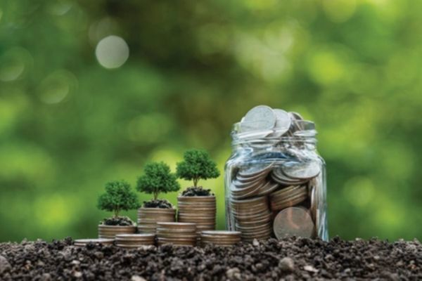 Hướng dẫn về miễn giảm tiền thuê đất theo Công văn 1233 Hướng dẫn về miễn giảm tiền thuê đất theo Công văn 1233