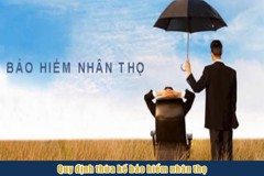 Tiền bồi thường bảo hiểm nhân thọ: có được tính là di sản thừa kế?