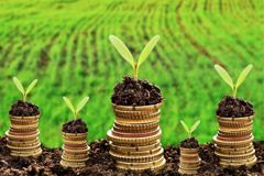 Công văn 1235: Hướng dẫn về miễn giảm tiền sử dụng đất