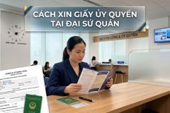 Cách xin giấy ủy quyền tại Đại sứ quán - Hướng dẫn chi tiết