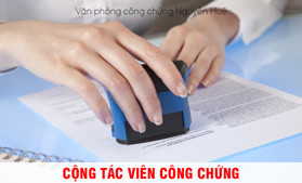 Cộng tác viên mới cập nhật [Tổng hợp các nghề CTV]