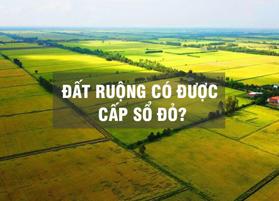 Luật đất đai thay đổi, đất ruộng có được cấp Sổ đỏ không? 
