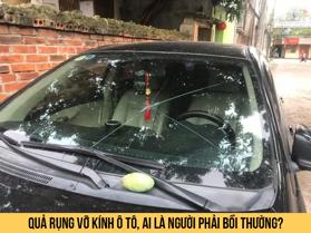 Quả rụng rơi vỡ kính ô tô thì ai là người phải bồi thường?