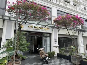 Biệt thự song lập Hải Âu 2 Vinhomes Ocean Park giá 27 tỷ