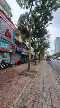 Biệt thự sân vườn, Tô Ngọc Vân 170m², 5 tầng, 53 tỷ