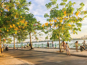 Mặt phố Võng Thị ô tô tránh - view Hồ Tây - vừa ở vừa cho thuê 