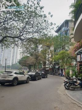 Nhà kinh doanh cafe mặt hồ Ngọc Khánh, Quy hoạch phố đi bộ