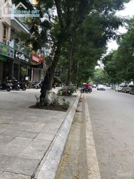 Siêu Đẹp Mặt Phố Vạn Bảo Lô góc, Thông tin chính xác