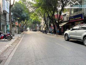 Bán nhà mặt phố Nguyễn Bỉnh Khiêm, 160m2 mặt tiền 7.5m