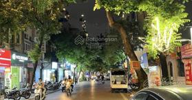 Bán nhà mặt phố lô góc Hàng Điếu kinh doanh dt 45m2 x 2t, mt 15m