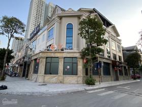 Chính chủ bán nhà liền kề A10 Nam Trung Yên, Cầu Giấy