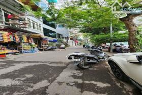 Mặt phố Hoàng Hoa Thám, Ba Đình - 178m - 4 tầng - Mặt tiền 5.2m 