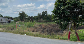 Bán đất Xã Tân Hoà, Tân Thạnh, Long An- LH:  0773096010 