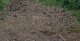 Bán đất xã Hưng Hội, Vĩnh Lợi 150m2 giá 260 triệu - LH: 0948343530