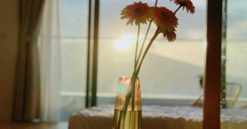 Bán căn hộ chung cư tại TMS Luxury Hotel & Residences, Trần Phú, Quy Nhơn, Bình Định - LH: 0983830334