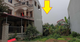 Bán đất tại Đường Hoàng Hoa Thám, Xã Tam Hiệp, Yên Thế, Bắc Giang-0988916293