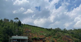 Chính chủ bán rẫy cà phê 1,4 hécta, view hồ, có nhà cấp 4- LH: 0327005579