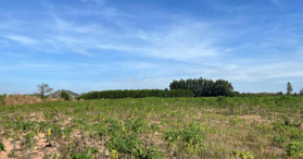 Chính chủ cần bán đất tại đường Số 12, thôn Suối Giêng, Bình Thuận - LH: 0989866306