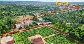 Bán nhanh lô đất ngay 2 mặt tiền Buôn Hồ, Đăk Lăk - LH: 0938238878