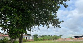 Bán gấp đất Long Hưng, Long Hồ, Vĩnh Long- LH: 0903062555