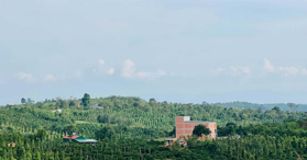 Bán gấp hơn 1sào đất xã Quảng Tân, Thị trấn Kiến Đức, Dăk R''''Lấp, Đắk Nông- LH: 0901273939