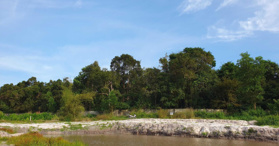 Bán đất view rừng nguyên sinh Xuyên Mộc, Bà Rịa Vũng Tàu- LH: 0938612828