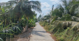 Bán 3000m2 đất Xã Thuận Mỹ, Châu Thành, Long An- LH: 0987789940