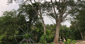 Bán 4,800m2 nhà vườn đẹp bên suối mộng mơ, sông ray, Cẩm Mỹ - LH: 0974656469