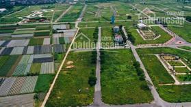 Bán đất nền liền kề biệt thự Cienco 5 H Mê Linh, Hà Nội- LH: 0988821518