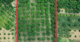 Bán đất Ngọc Lương - Yên Thủy - Hoà Bình 2400m2 - LH 0329805085