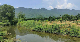 Bán đất Vó Ấm Ngọc Lương 2400m2 - LH 0968729955