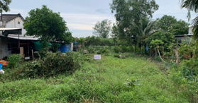 Bán nền Đông Thạnh, TX. Bình Minh, Vĩnh Long- LH: 0925592865