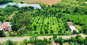 Bán đất CLN quy hoạch đất ở view Hồ Sông Hinh, Phú Yên - LH: 0332079688