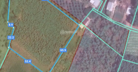 Bán đất tại xã Xuyên Mộc, Bà Rịa Vũng Tàu- LH: 0877666988