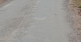 Bán gấp 4 mẫu đất CLN xã Ninh Điền Châu Thành Tây Ninh - LH: 0902944408