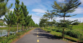 Bán lô đất nền giá rẻ ngay Quốc Lộ 20, Bảo Lộc, Lâm Đồng- LH: 0908293212